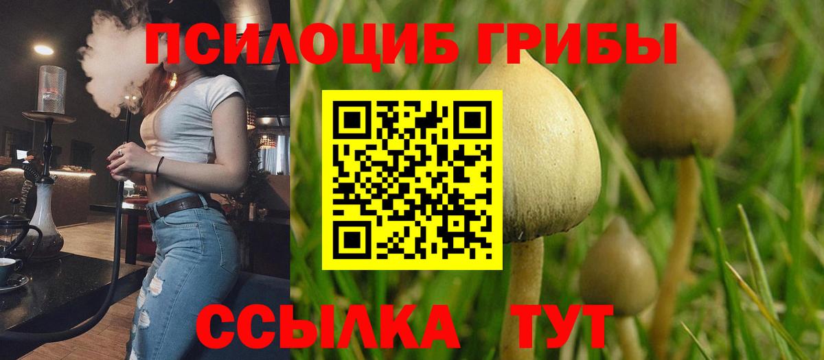 Галлюциногенные грибы Magic Shrooms  Вход с VPN  Коряжма  Псилоцибиновые грибы MAGIC MUSHROOMS 